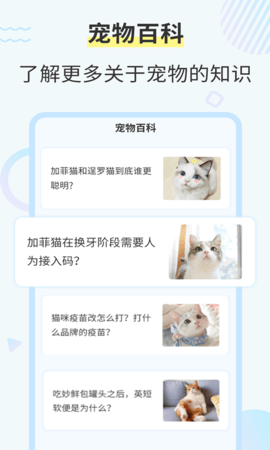 猫咪翻译器永久免费版下载-猫咪翻译器下载app安装