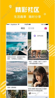 蜜熊交友app下载app安装-蜜熊交友app最新版下载