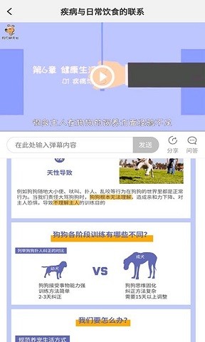 宠物训养小课堂无广告版app下载-宠物训养小课堂官网版app下载