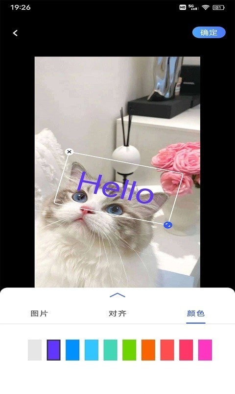 小猪翻译器安卓版手机软件下载-小猪翻译器无广告版app下载