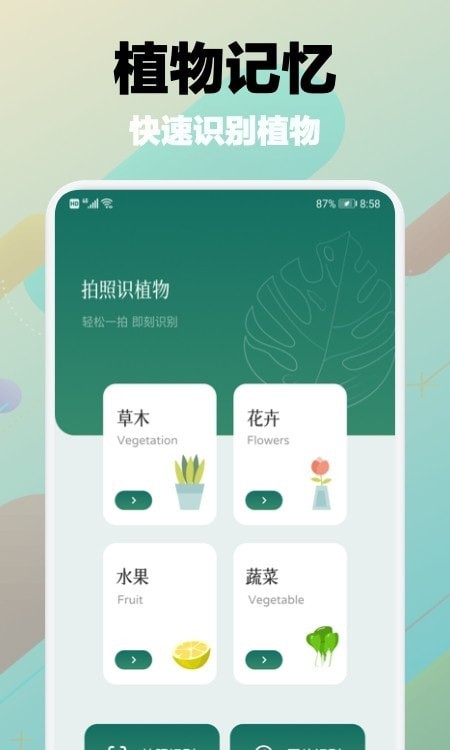 树林记忆最新版手机app下载-树林记忆无广告破解版下载