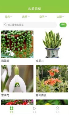 东篱花草下载2022最新版-东篱花草无广告手机版下载