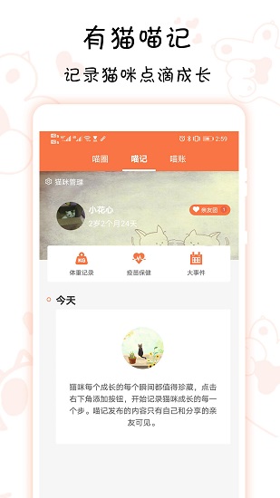 领喵官网版app下载-领喵免费版下载安装