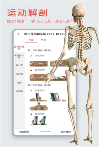 3DBody软件安卓免费版下载-3DBody安卓高级版下载