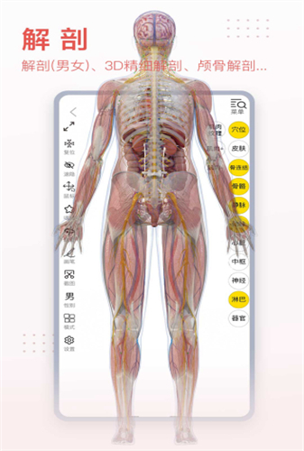 3DBody软件安卓免费版下载-3DBody安卓高级版下载