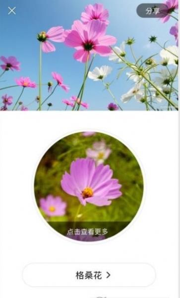 识花大师无广告版app下载-识花大师官网版app下载