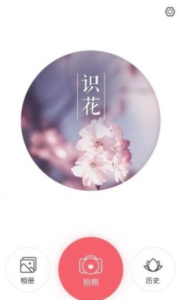 识花大师无广告版app下载-识花大师官网版app下载