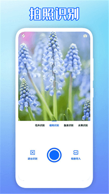 拍图识物无广告版app下载-拍图识物官网版app下载