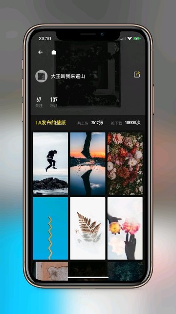 纸塘壁纸下载app安装-纸塘壁纸最新版下载