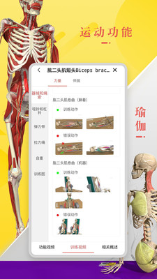 3Dbody解剖app最新版下载-3Dbody解剖手机清爽版下载