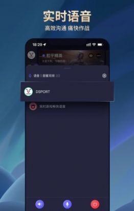 dsport电竞无广告版app下载-dsport电竞官网版app下载