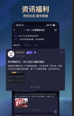 dsport电竞无广告版app下载-dsport电竞官网版app下载