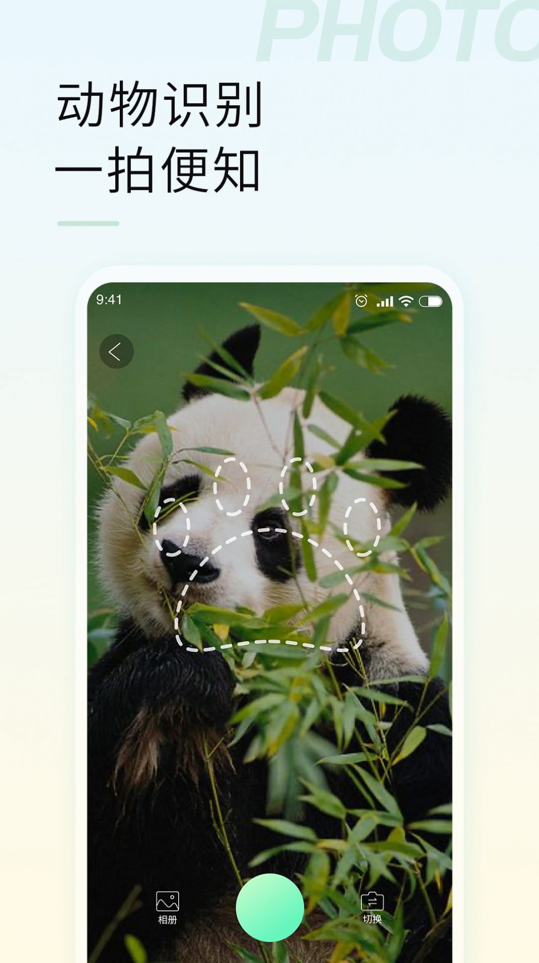 智能拍照识物软件安卓免费版下载-智能拍照识物安卓高级版下载