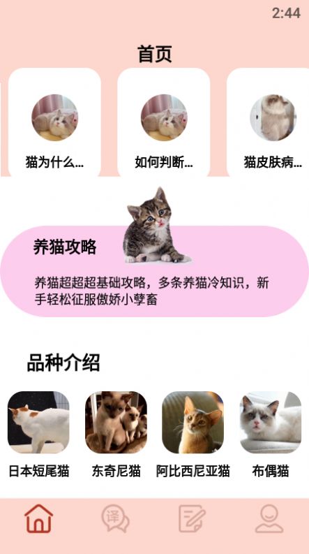 摸摸小猫下载2022最新版-摸摸小猫无广告手机版下载