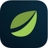 Bitfinex