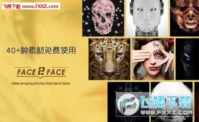 face2face软件安卓版安卓版手机软件下载-face2face软件安卓版无广告版app下载