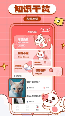 猫咪翻译物语安卓下载-猫咪翻译物语app下载v1.0.0