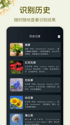 拍照识花大师app官方下载最新版-拍照识花大师手机版下载v1.0