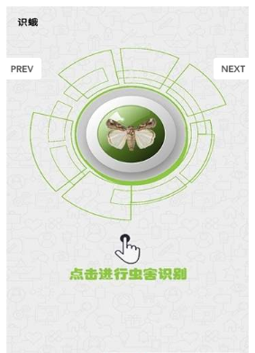 很准识蛾app下载官方版-很准识蛾app下载v1.0.0