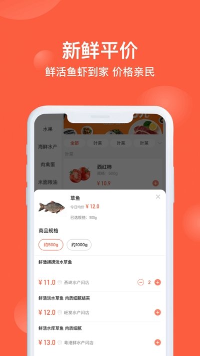 闪鲜到家下载安装官方版-闪鲜到家手机客户端下载v1.0.3