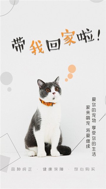 猫行狗市app官方下载安装-猫行狗市软件下载v4.0