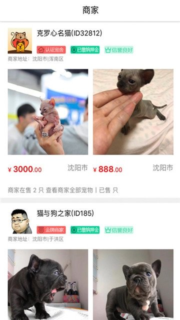 猫行狗市app官方下载安装-猫行狗市软件下载v4.0