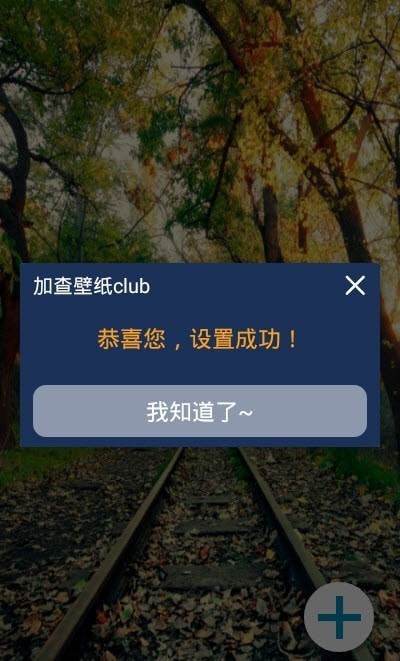 加查壁纸clubAPP手机版-加查壁纸clubAPP最新版v1.0