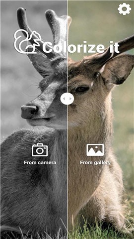 Colorize It软件下载-Colorize Itapp下载v1.0