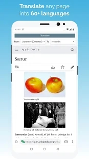 Kiwi浏 览器官方版下载-Kiwi浏 览器app下载v111.0.5563.73