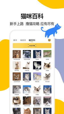 猫语翻译大全app下载-猫语翻译大全手机版下载v1.0