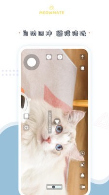 MeowMate最新版本下载-MeowMateapp下载安装v1.0