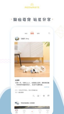 MeowMate最新版本下载-MeowMateapp下载安装v1.0