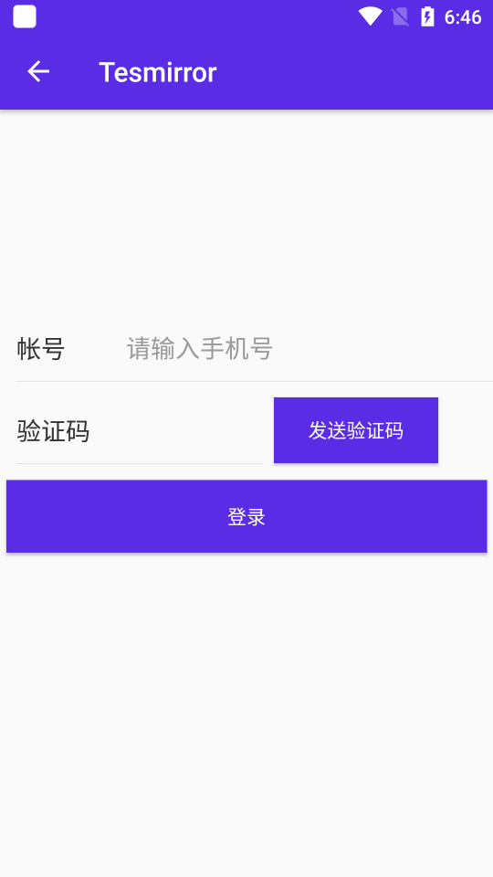 Tesmirrorapp官方下载安装-Tesmirror软件下载v1.0