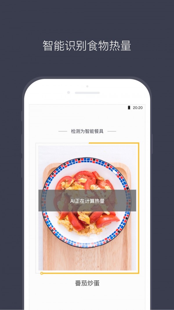 计食器下载-计食器app下载v1.0