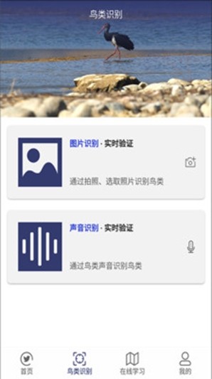 图音识鸟下载-图音识鸟app下载v1.0