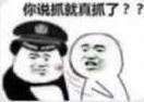 你说抓就真抓了表情包