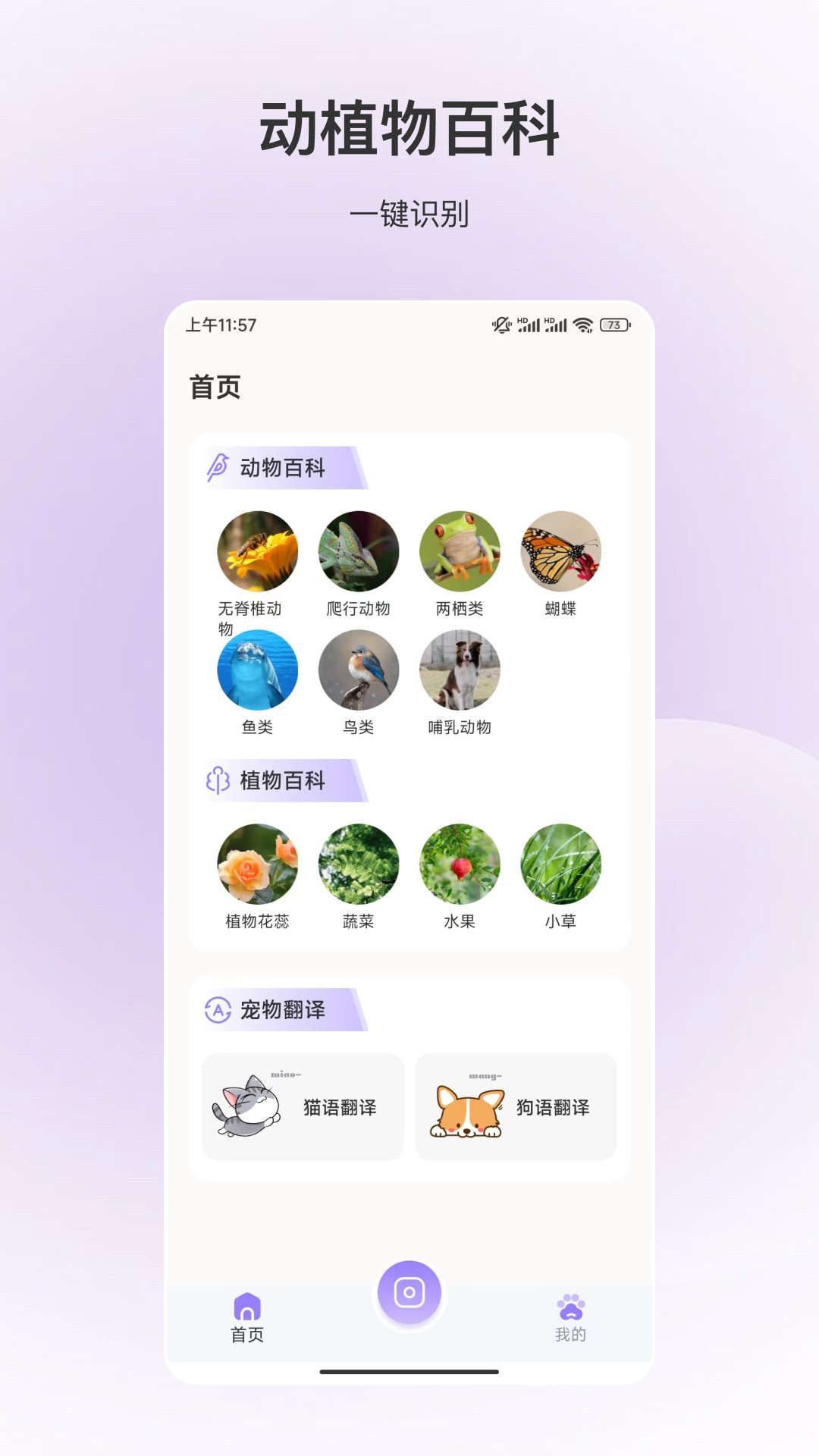 动物识别app下载官方版-动物识别app下载v3.5.1