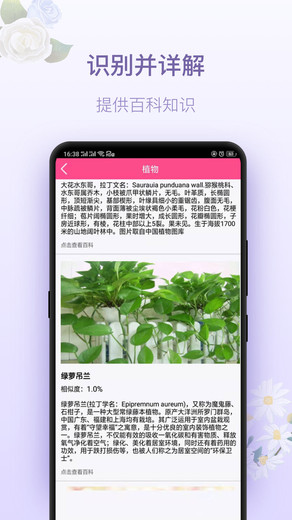 拍照识花神器app下载官方版-拍照识花神器app下载v5.5.6