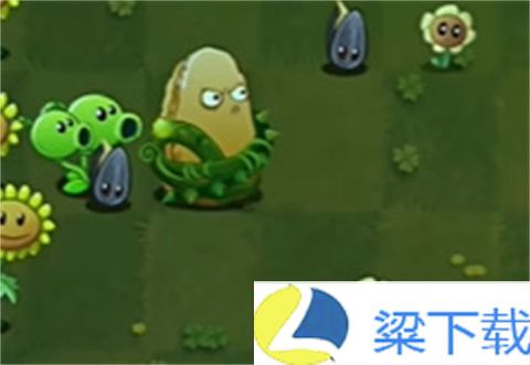 植物大战僵尸转基因版